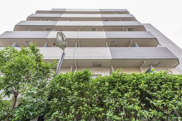 フェニックス椎名町の外観