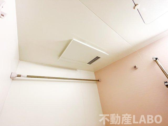 プティ ルピナスのその他