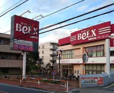 ヴァンガードハイツ上板橋の周辺