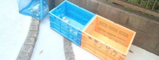 モーリアのその他