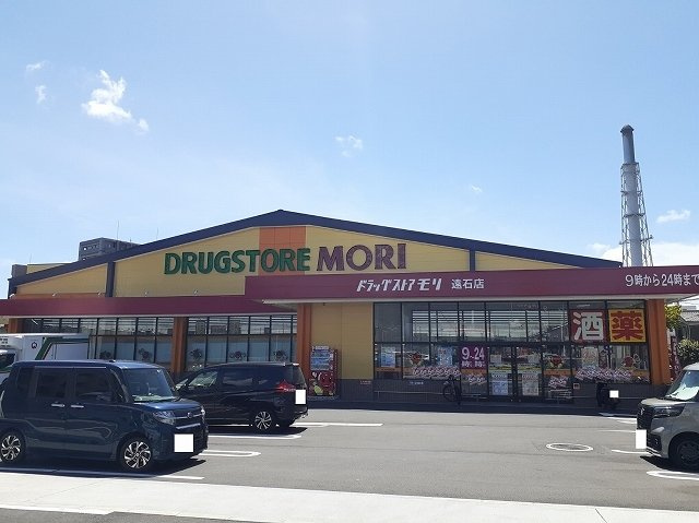 エルマーノＴ２の周辺|ドラッグストアモリ遠石店まで830m