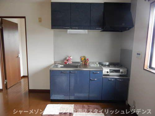 シャーメゾン丹田Ⅱのキッチン