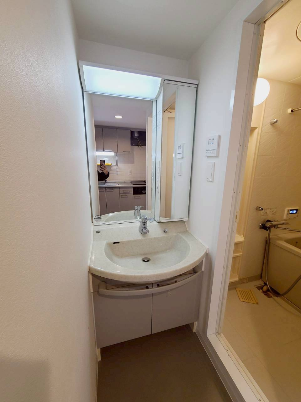 アプリーレ西宮武庫川の洗面所