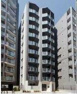 ＧＥＮＯＶＩＡ　Ｔｏｋｙｏ　Ｎｏｒｔｈ　ｇｒｅｅｎ　ｖｅｉｌの画像