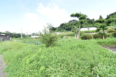 【外観】 | 鹿屋市浜田町　中古戸建 | 畑