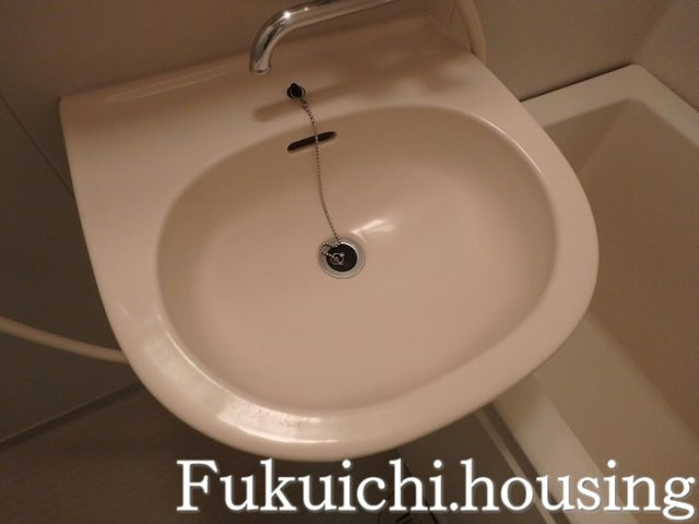 エスポワール桜丘の洗面所
