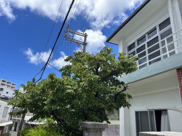 那覇市繁多川戸建の外観