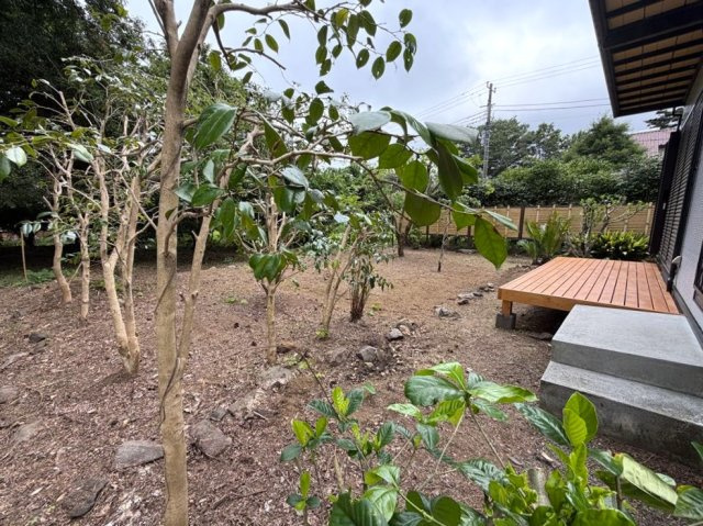 商談中　伊豆高原 すいらん荘別荘地　平坦地に建つリフォーム済み5SLDKの庭|平坦で菜園やガーデニングが可能