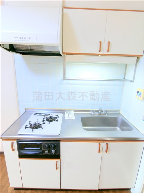 日興パレス羽田PARTⅡのキッチン|キッチン　