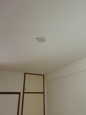カーサエステレーヤのその他