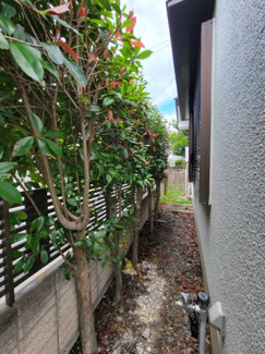 【庭】 | 南アルプス市徳永 平成7年築 建物一新済中古戸建 南西角地 | 敷地西側