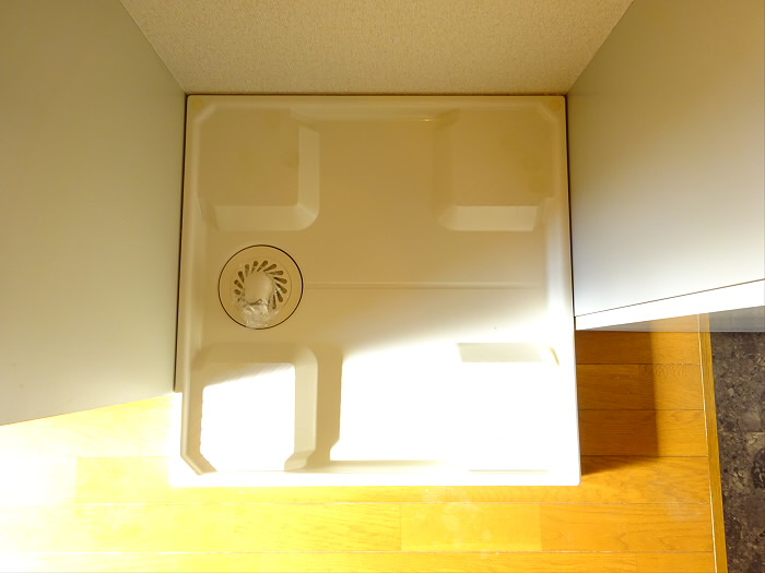 ステラのその他