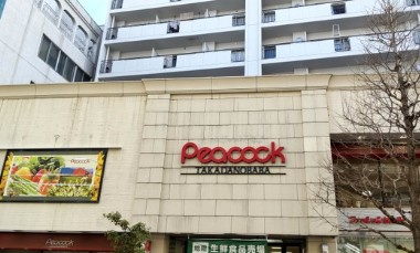 新宿区高田馬場２丁目の賃貸マンションの周辺