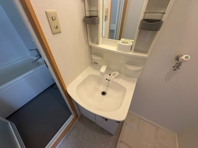 ソフィアコートの洗面所