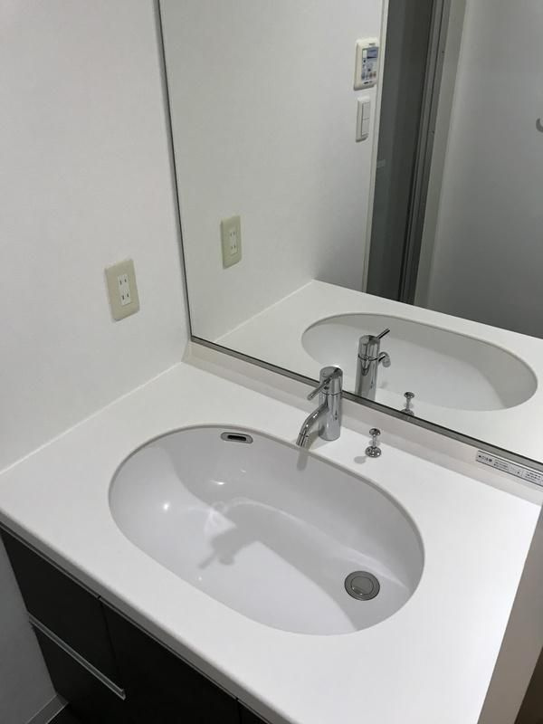 Ｌ－Ｆｌａｔ入谷の洗面所