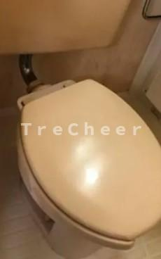 江古田ホワイトハイツのトイレ