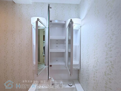 【独立洗面台】 | スペリアシティ名南アネックスⅠ【名古屋市賃貸・分譲賃貸】