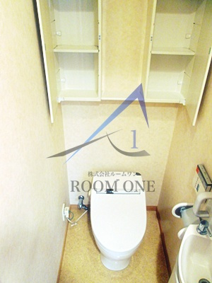 ラウレアビレッジ のトイレ|トイレです。