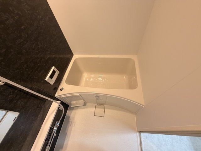 ACT正雀のその他