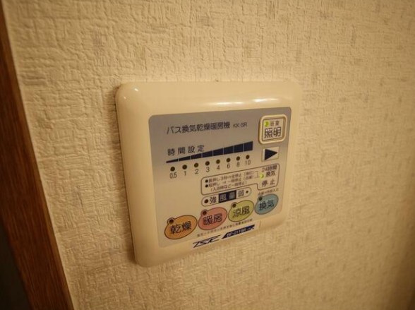 アムール　Voyageのその他