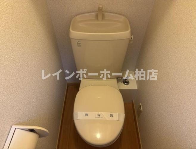 特典：仲介手数料が無料です!!のトイレ