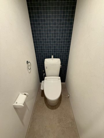ハイツ伏見桃山のトイレ