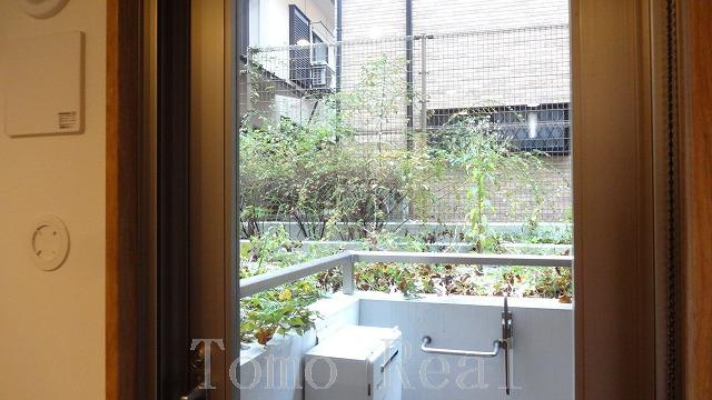 レジディア六本木檜町公園の展望