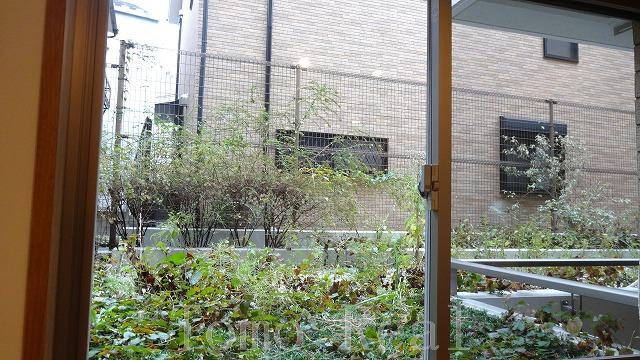 レジディア六本木檜町公園の展望