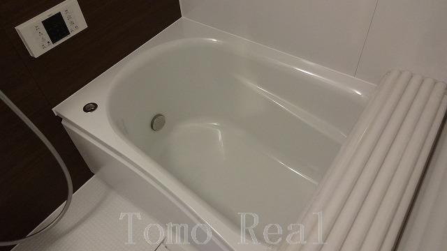 レジディア六本木檜町公園の浴室