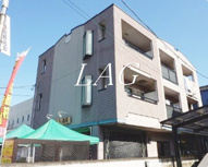 ピュア２１の画像