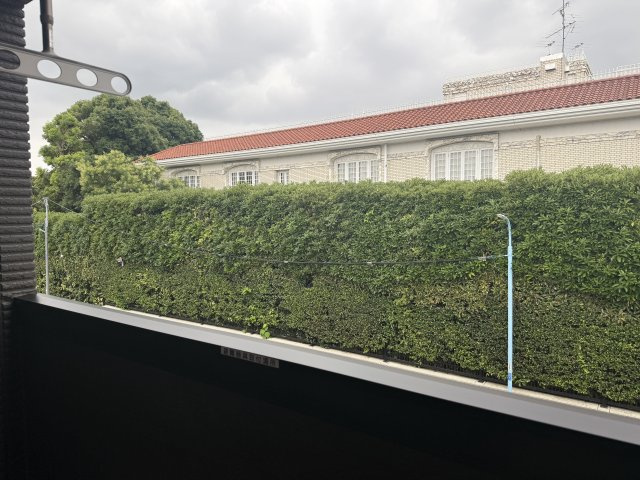 【展望】 | ヴェルデュ