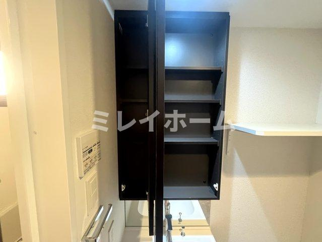 ラフィスタ蒲田南Ⅱの独立洗面台