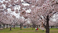 一ツ家第一公園まで409m