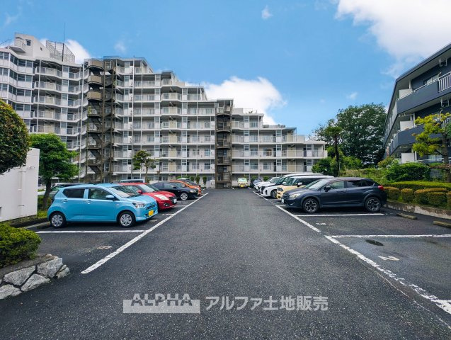 河辺ビューパレー多摩川