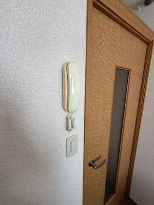 レオパレスサンピュアⅡのその他