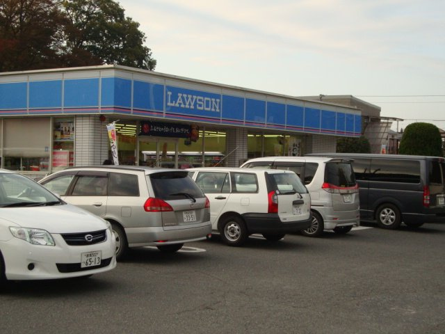 コーラルの周辺|ローソン高崎宿大類町店まで1,199ｍ
