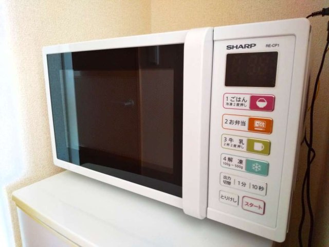 レオパレスグランドールのその他|電子レンジ