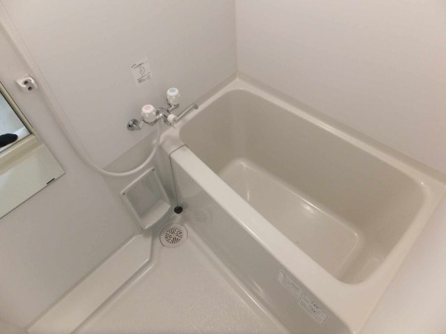 レオネクストエムズ早渕Ⅰの浴室