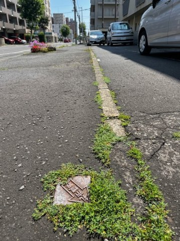 【その他】の画像