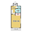 ルネッサンスワンの画像