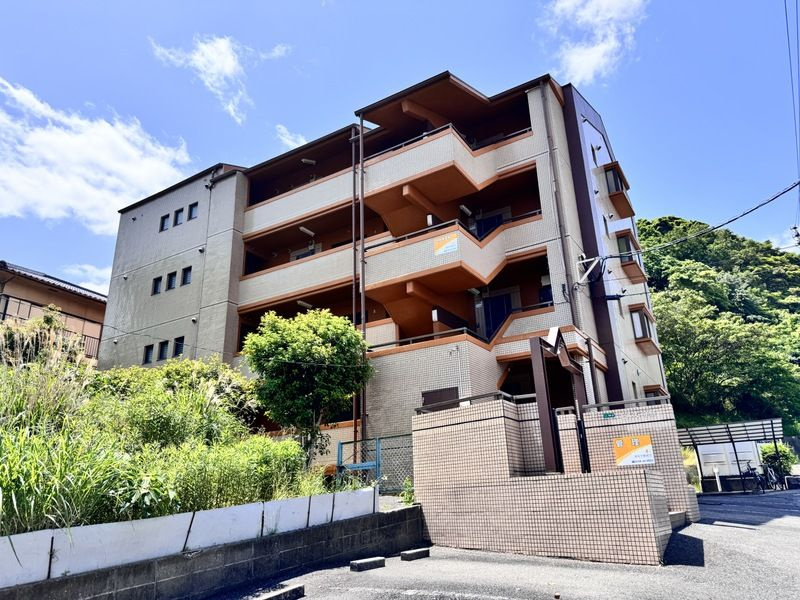 ヒルズ守恒