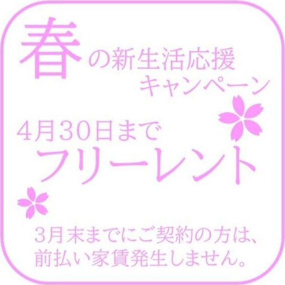 quador noie 池下の玄関