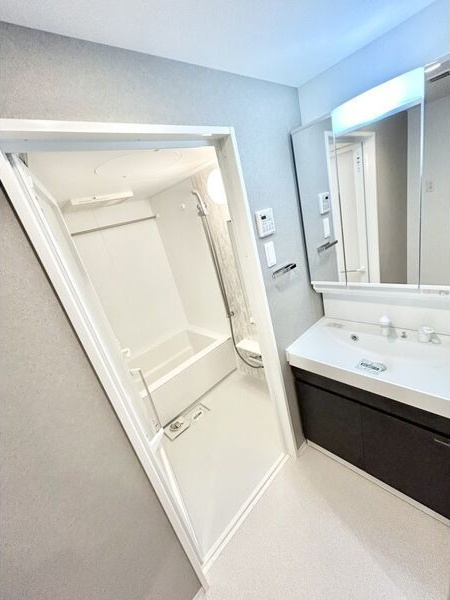 S-RESIDENCE高岳bresa(ブレサ)の洗面所|シリーズ物件の参考写真になります