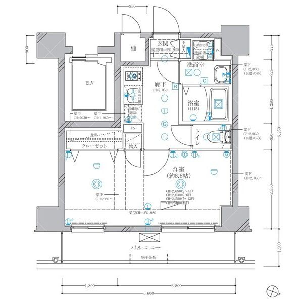ディアレイシャス東別院Ⅳの間取り