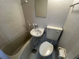 落ち着いたトイレです