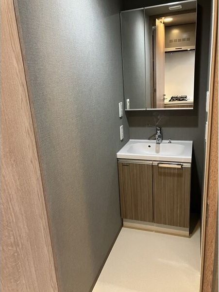 エステムコート名古屋新栄Ⅵ アートテラスの洗面所