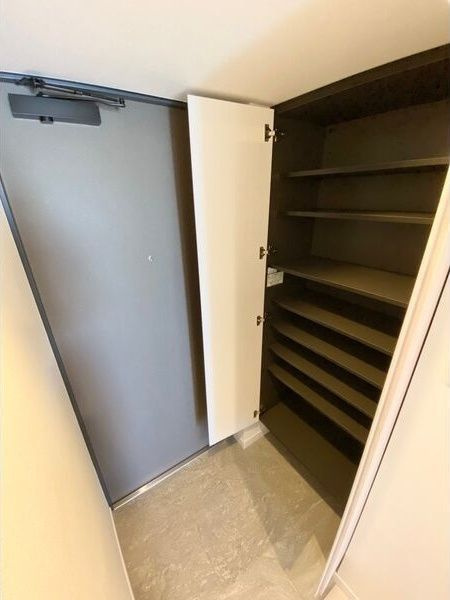 S-RESIDENCE豊国通 の玄関