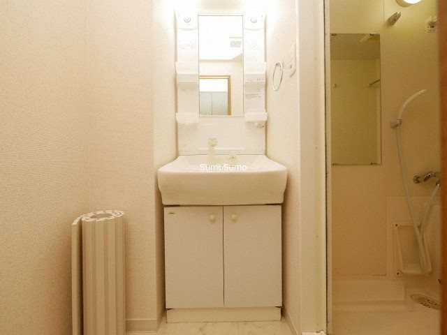 エイペックス松屋町ヴァンデュールの洗面所