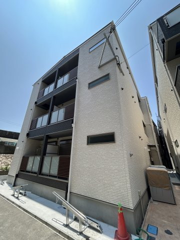 F asecia beseeltの外観