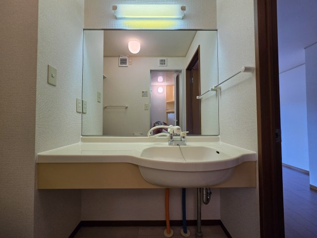 稲城市矢野口のアパートの洗面所
